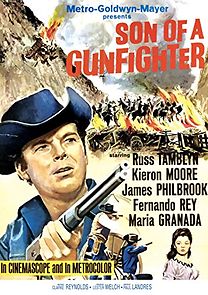 Son of a Gunfighter (1965)