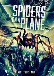 Spiders on a Plane (2024)