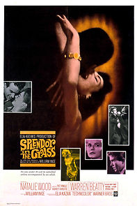 Splendor in the Grass (1961)