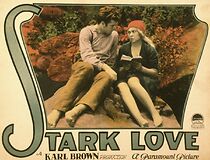 Stark Love (1927)