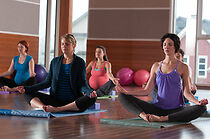 Stolen from the Womb (2014)