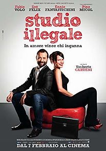 Studio illegale (2013)