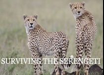 Surviving the Serengeti (2015)