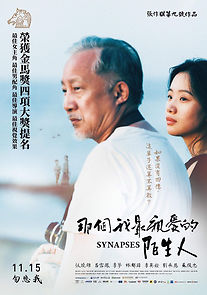 Synapses (2019)