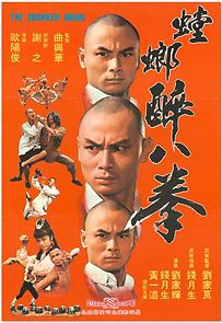 The 36th Chamber: The Final Encounter (1981)