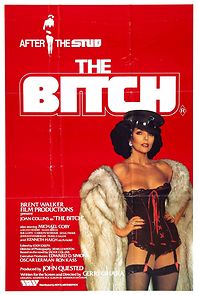 The Bitch (1980)