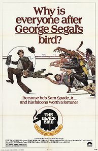 The Black Bird (1976)