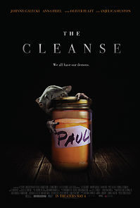 The Cleanse (2018)