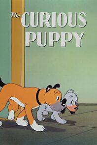 The Curious Puppy (Short 1939) (1939)