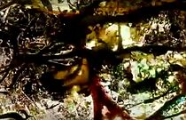 The Dante Quartet (Short 1987) (2017)