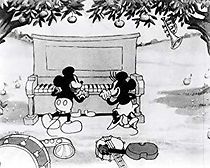 The Delivery Boy (1931)