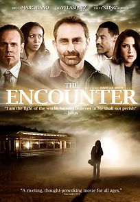 The Encounter (2015)