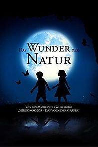 The Field of Enchantment (2011)