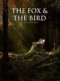 The Fox and the Bird (Short 2019) (2022)