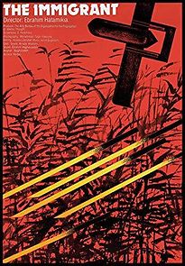 The Immigrant (2013)