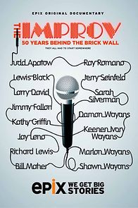 The Improv: 50 Years Behind the Brick Wall (TV Special 2013) (2013)
