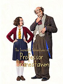 The Incredible Adventures of Professor Branestawm (2014)