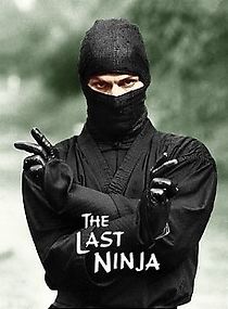 The Last Ninja (1983)