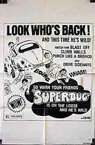 The Love Bug Rally (1975)