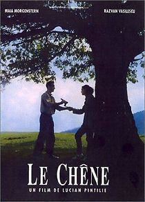 The Oak (1992)