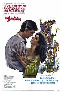 The Sandpiper (1965)