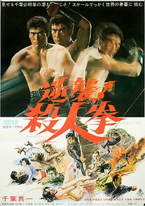 The Street Fighter's Last Revenge (1974)