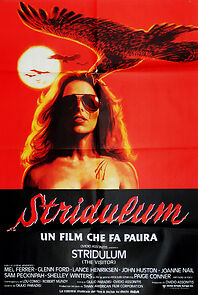 The Visitor (1980)
