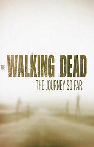 The Walking Dead: The Journey So Far (2016)