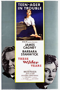These Wilder Years (1956)