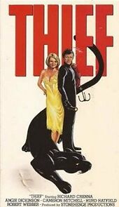 Thief (1981)