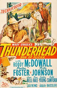Thunderhead: Son of Flicka (1945)