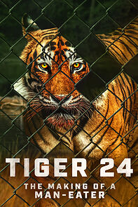 Tiger 24 (2023)