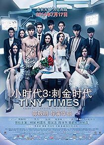 Tiny Times 3.0 (2014)