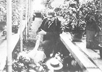 Trädgårdsmästaren (1912)