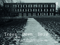 Trees Down Here (2018)
