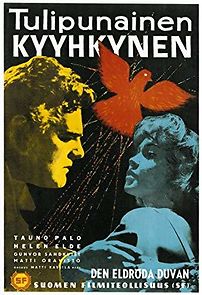 Tulipunainen kyyhkynen (1961)