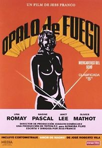 Two Female Spies with Flowered Panties (1980)
