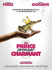 Un prince (presque) charmant (2013)