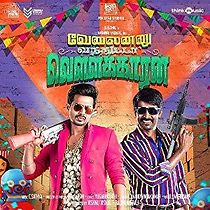 Velainu Vandhutta Vellaikaaran (2016)