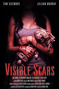 Visible Scars (2014)