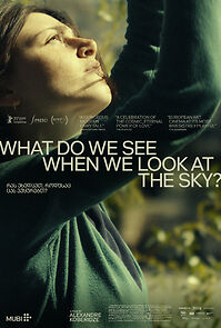 What Do We See When We Look at the Sky? (2022)