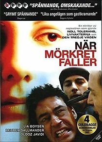 When Darkness Falls (2023)