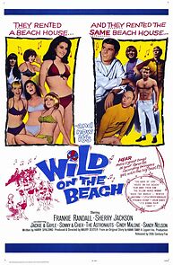 Wild on the Beach (1965)