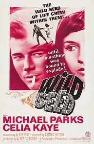 Wild Seed (1965)