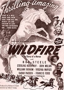 Wildfire (2021)