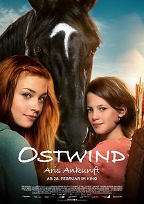 Windstorm 4: Ari's Arrival (2019)
