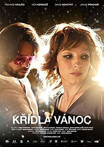 Wings of Christmas (2013)