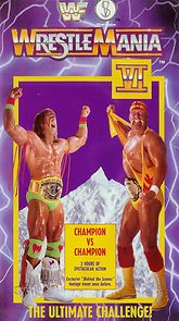 WrestleMania VI (TV Special 1990) (1990)