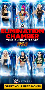 WWE Elimination Chamber (TV Special 2020) (2020)