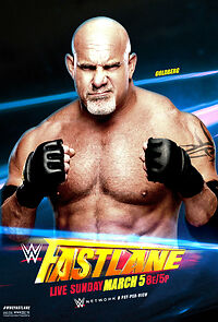 WWE Fastlane (TV Special 2017) (2017)